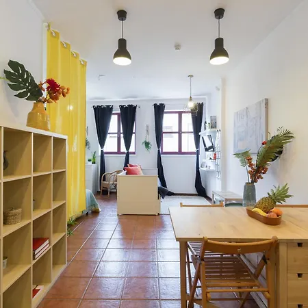 Apartment Host Wise - Cozy Sunny Flats - Ace Location Porto